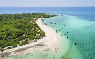 Exklusive Safari in Tansania und Traumstrände auf Sansibar