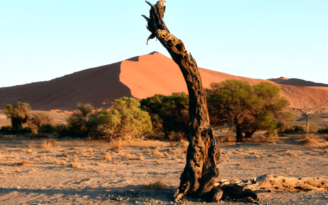 Traumreise in das atemberaubende NAMIBIA, 09.05.2020-22.05.2020 / 24.10.2020-06.11.2020