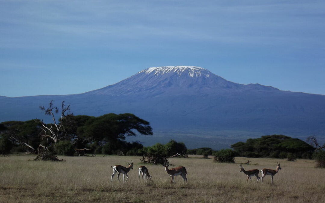 Traumreise Kenia