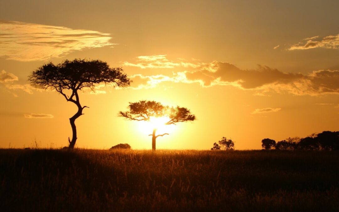 Traumreise Tansania